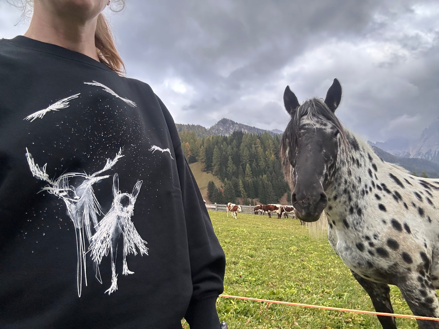 sweatshirt